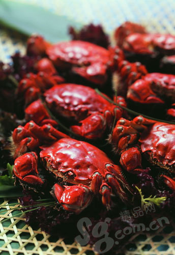“蟹”逅美味