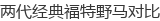 两代经典福特野马对比