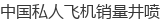 中国私人飞机销量井喷