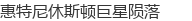 惠特尼休斯顿巨星陨落