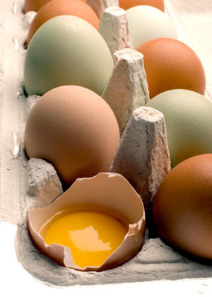 食用鸡蛋黄的时候不要过量