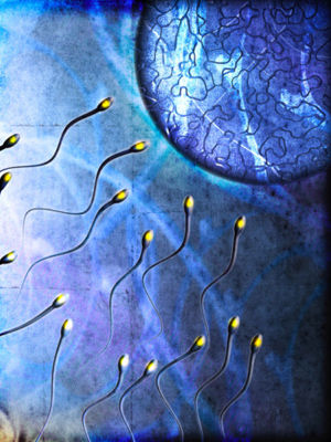 壮阳药物导致精液质量下降