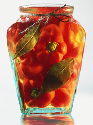 泡菜促使人体早衰