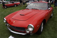 THE QUAIL��ү��չʾ