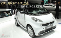 2013smart11.5-22.5