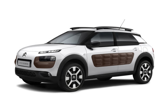 ѩC4 Cactus