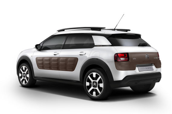 ѩC4 Cactus