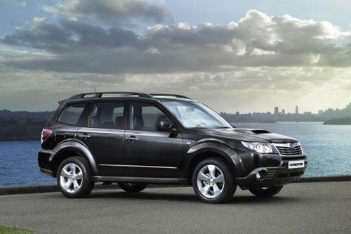 ˹��³09��ɭ����