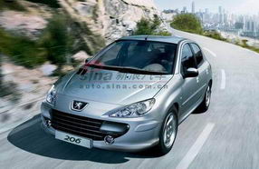 �����̬����206���� ����206������Ͷ��