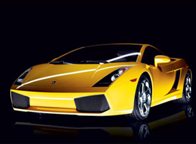 ��Ƶ����Ұ������������Gallardo