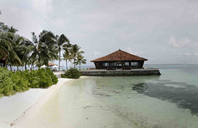 �εĹ���--��������֮��ʳס��