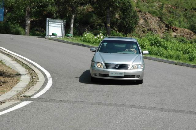 �Լ���������