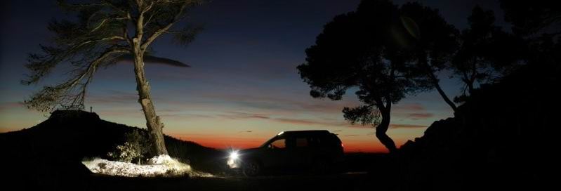 ��X-Trail�濥���