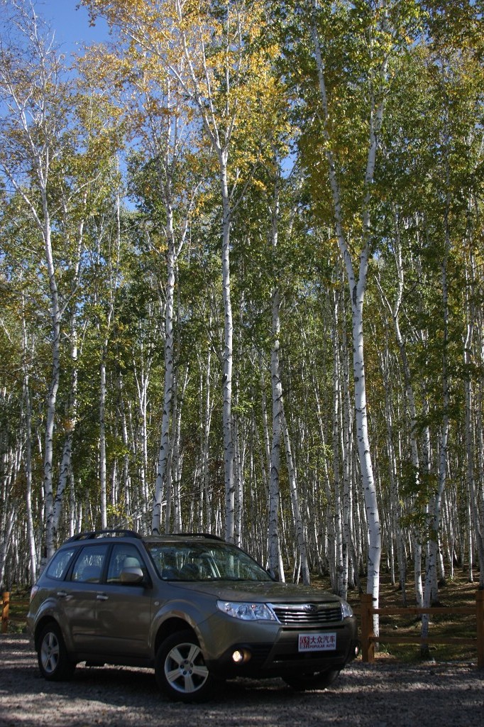 ���ɲ�ԭ·�����л���