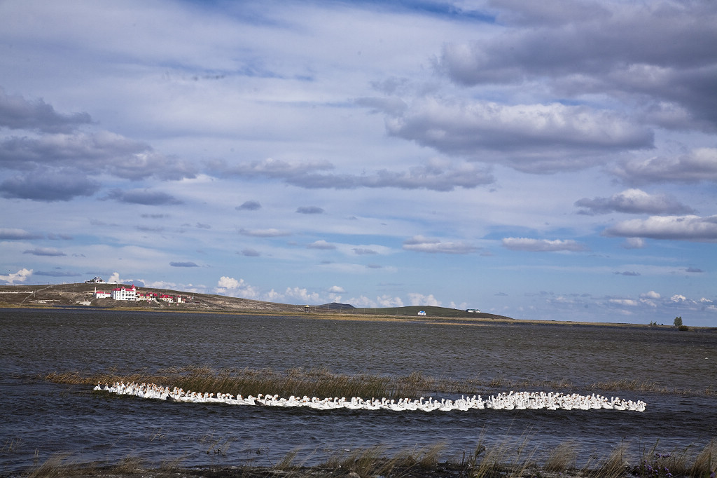 ���ɲ�ԭ·�����л���