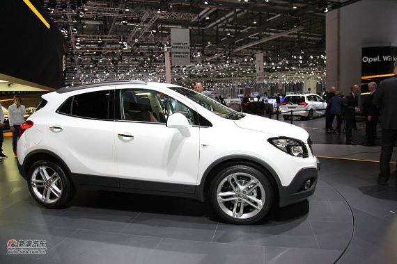 �D��W��Mokka