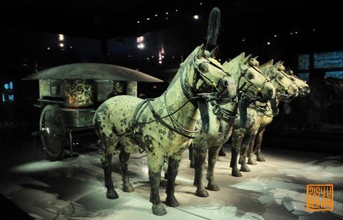 博物馆里的马车
