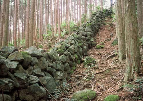 石垣人口_人口普查