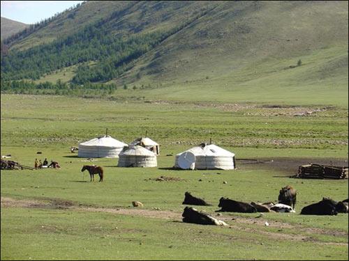 蒙古+++这里是移民密度最低的国家
