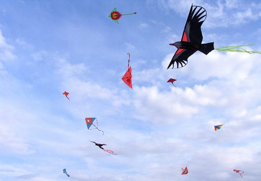 The kite