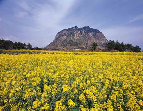 汉拿山 汉拿山