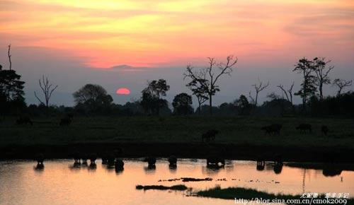 Africa in the early morning sunrise