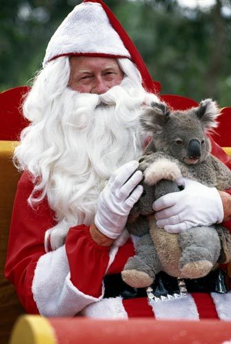 Embrace the koala Santa Claus