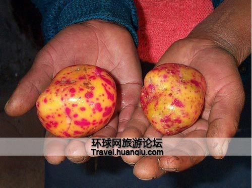 The Andes are potatoes home