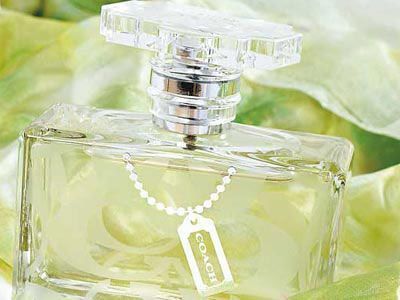 Coach The Signature EDP