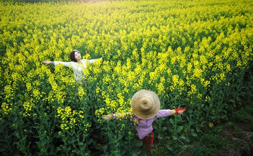 春风拂面 摄影：魏尧