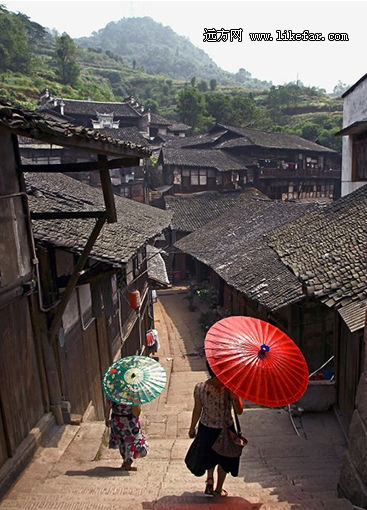 除了遮雨也遮阳 摄影：南山行者