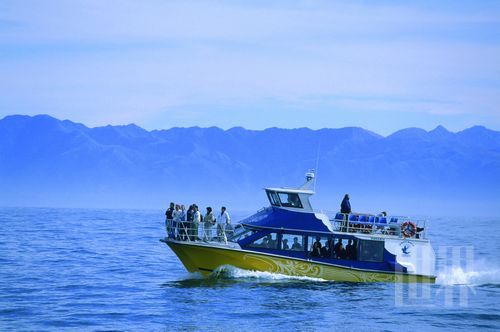 The sea is the Kaikoura Town Tourism retention program