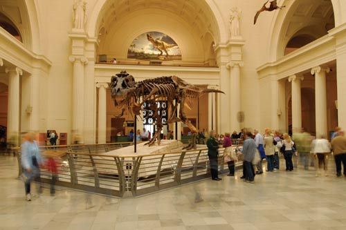 Sina travel pictures: Museum Tour