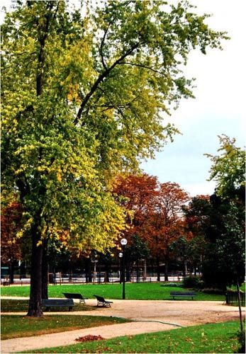 Autumn in Paris