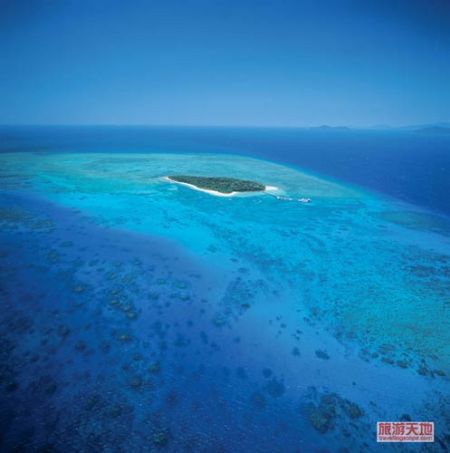 Great Barrier Reef beauty