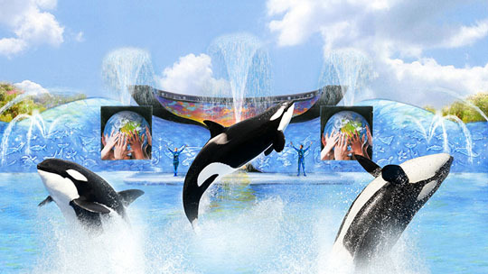 һ޶ɱ˾ݣͼƬȨSan Diego SeaWorldУδתأ