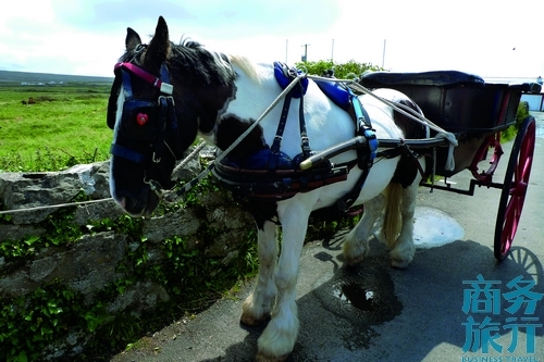 Bunratty