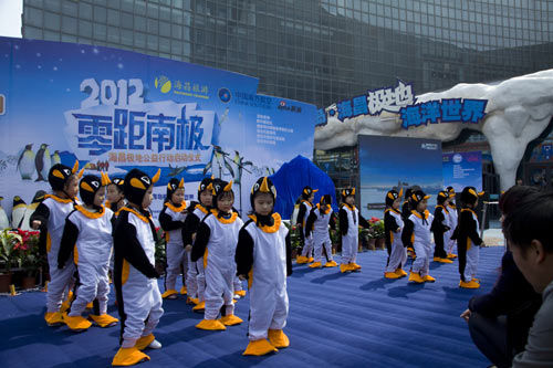 企鹅的感动2012零距南极 环保公益活动青岛启