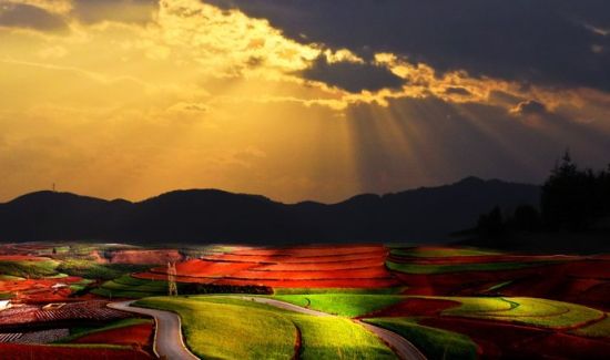 漂亮的红土地