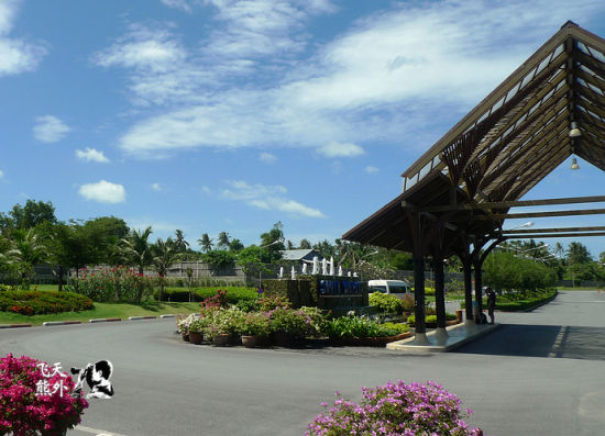 苏梅岛机场:热带原生态的露天花园