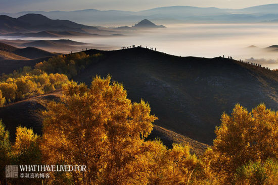 Autumn, the beautiful grassland