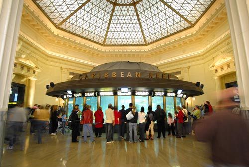 芝加哥博物馆看地球上最大的霸王龙(2)
