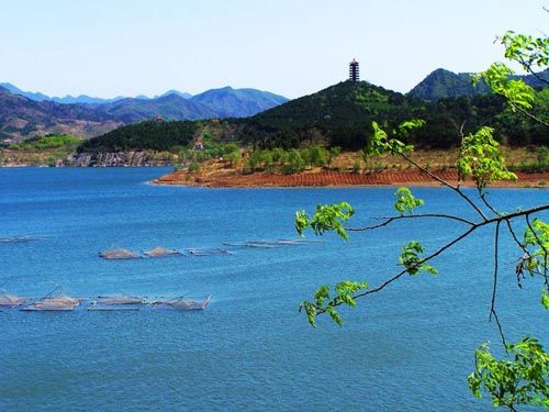 北京平谷金海湖 踏野寻踪树上小木屋