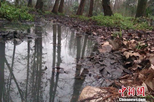 West Lake sewage pool