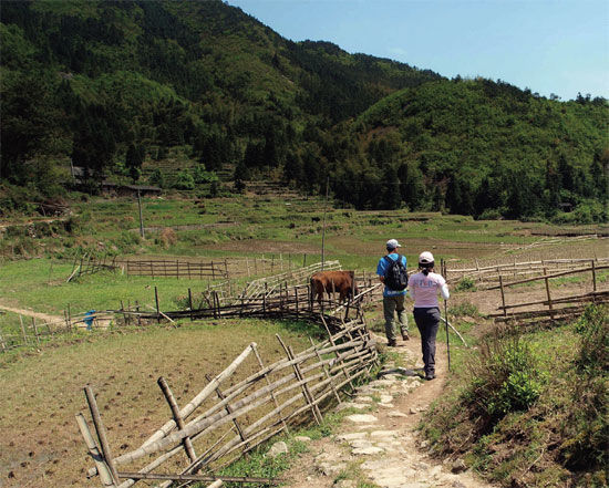 Country road