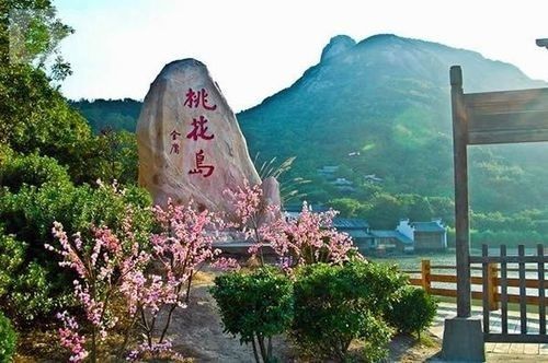 桃花岛 桃花岛
