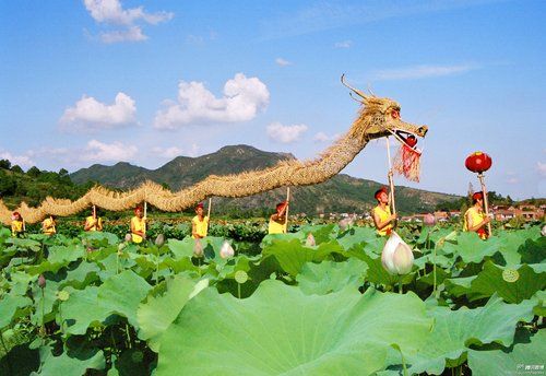 微博|2013年07月01日16:00    ★龙游天池村:富含硒的荷花村   当地已