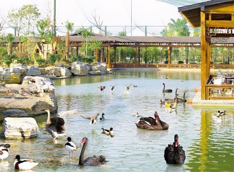鸟语花香之地 江阴嘉茂国际花鸟园