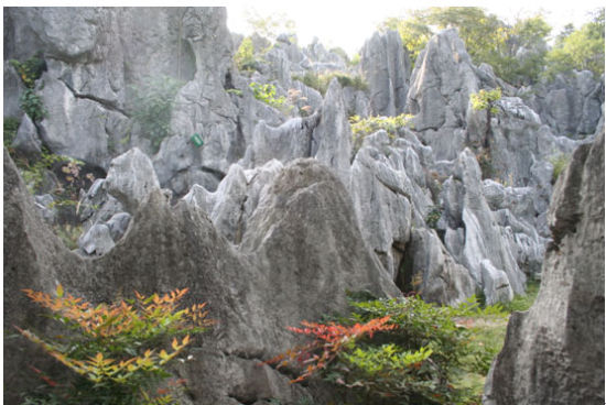 杭州千岛湖石林攻略