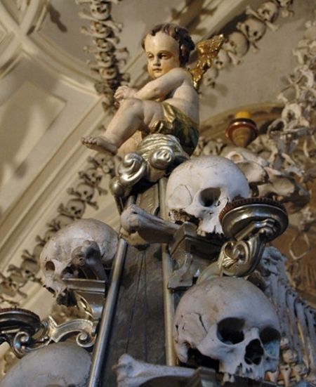 美国费城穆特尔医学史博物馆